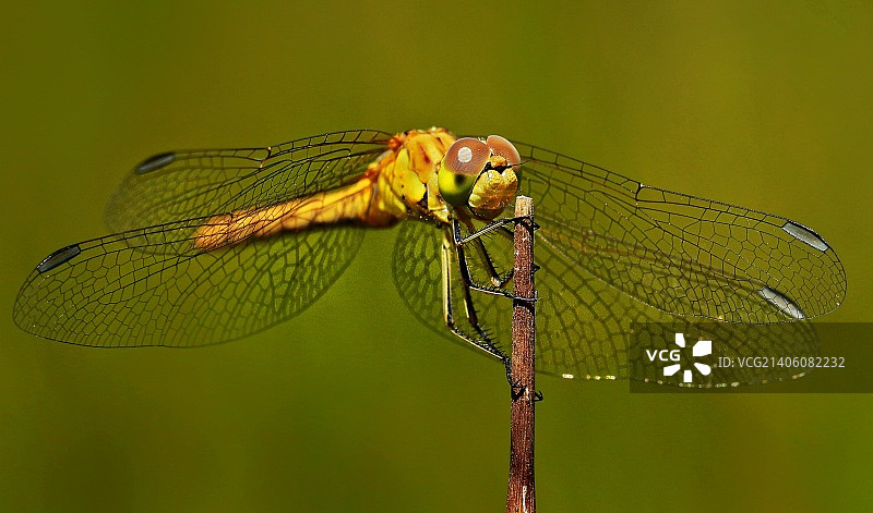 土耳其坎德拉图片素材