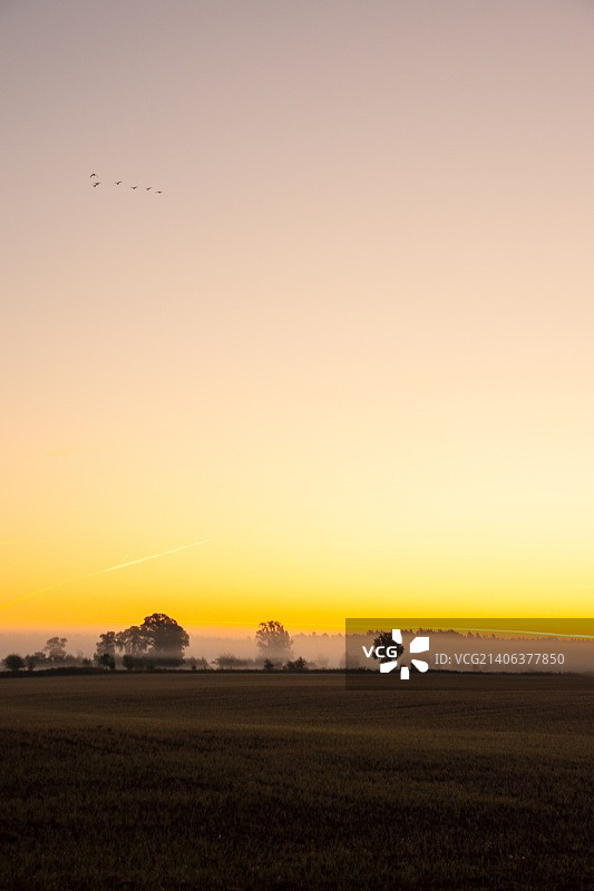 秋日清晨#2图片素材