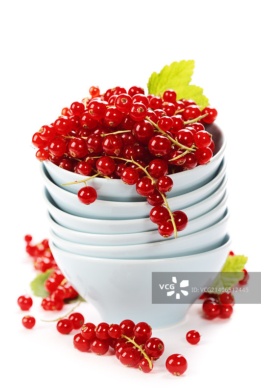 成熟的红色醋栗图片素材