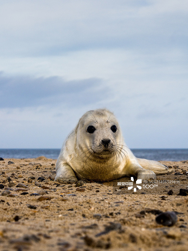英国马瑟姆图片素材