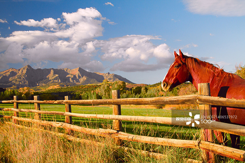 圣胡安山脉的马图片素材