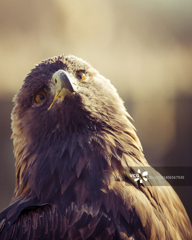 无限可能图片素材