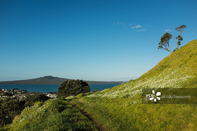 从太平山顶看到的景色图片素材
