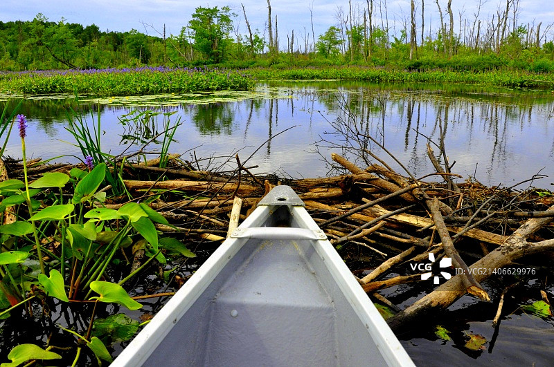 穿梭海狸坝图片素材