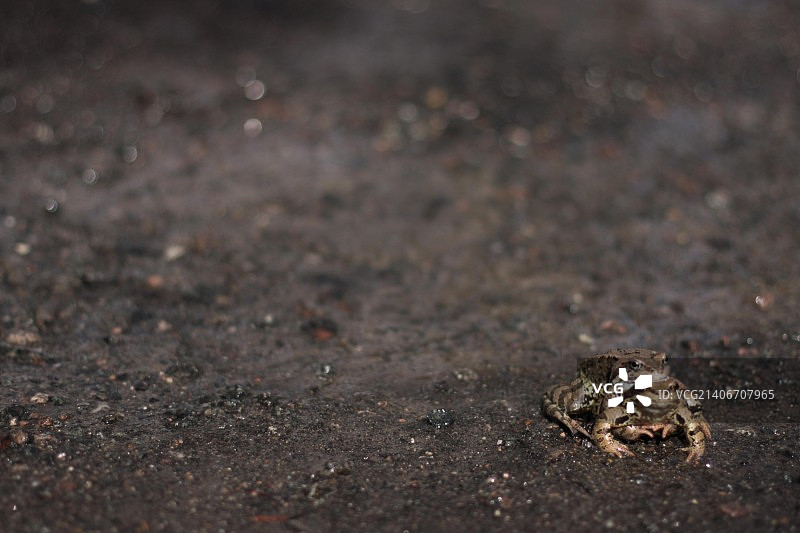 dobriy 摄影作品图片素材