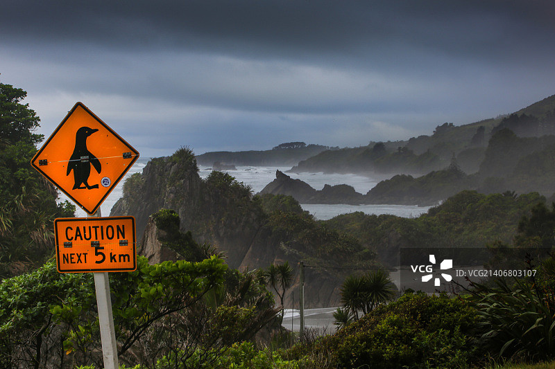 注意，未来5公里有企鹅图片素材