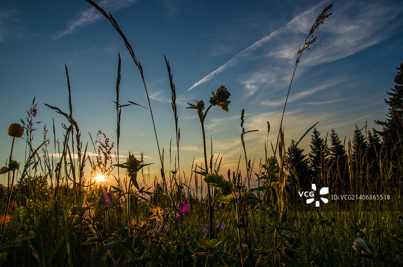 Benjamin拍摄作品图片素材