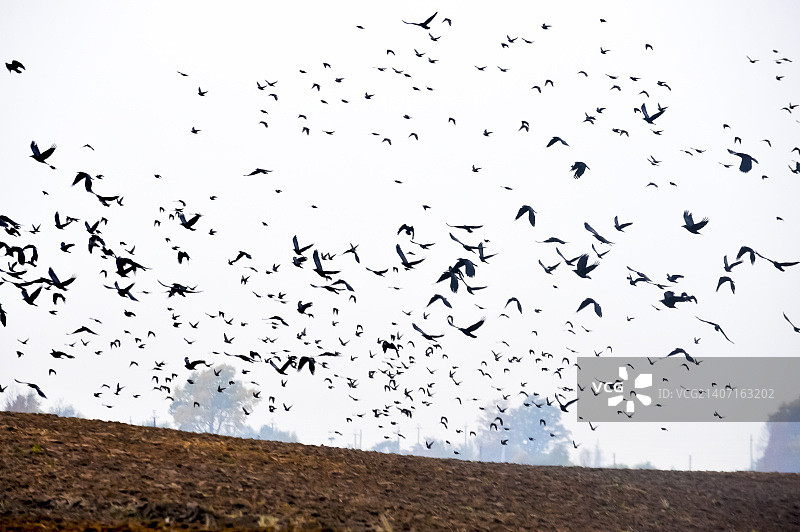 多彩秋色图片素材