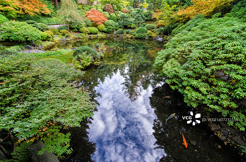波特兰日本花园图片素材
