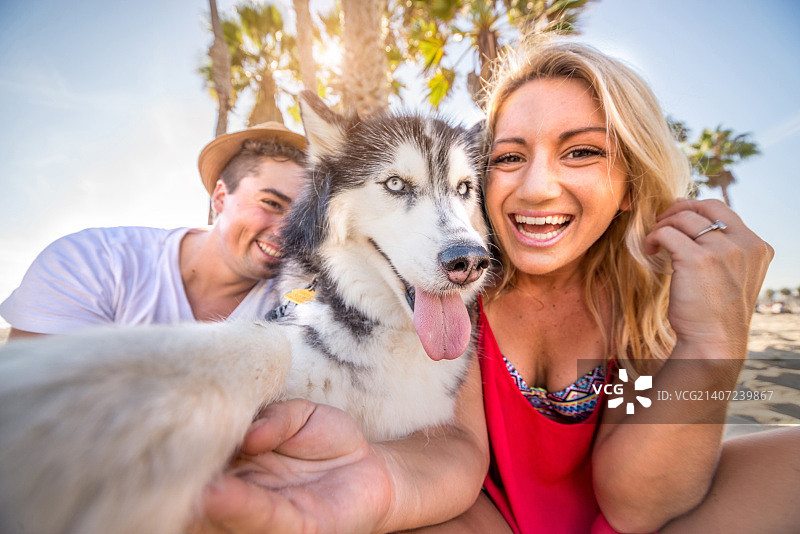 与狗狗的自拍图片素材