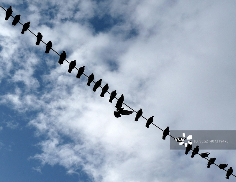 摄影师：kadir tinte图片素材