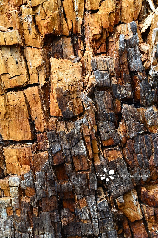 风化木材图片素材