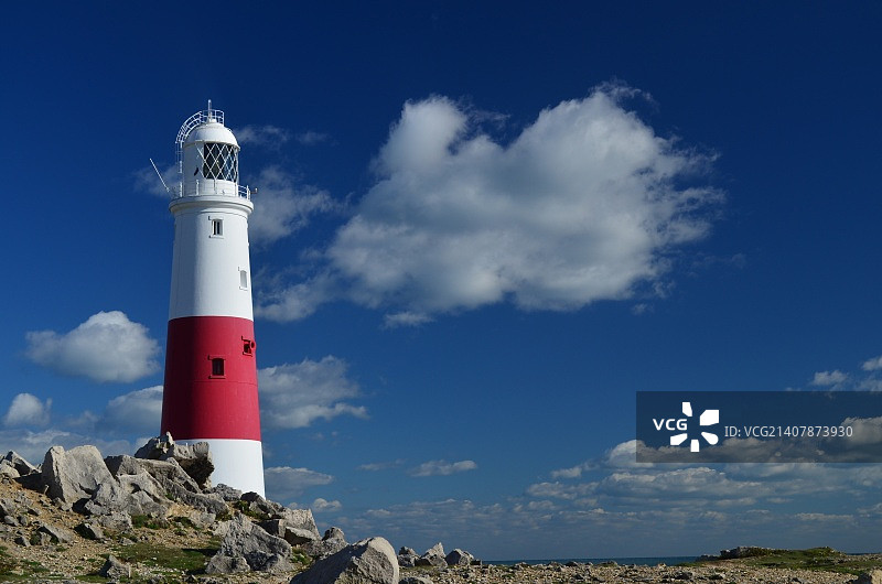 波特兰比尔图片素材