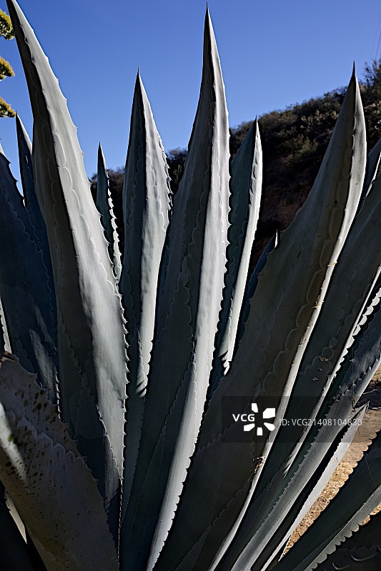 无标题的图片素材