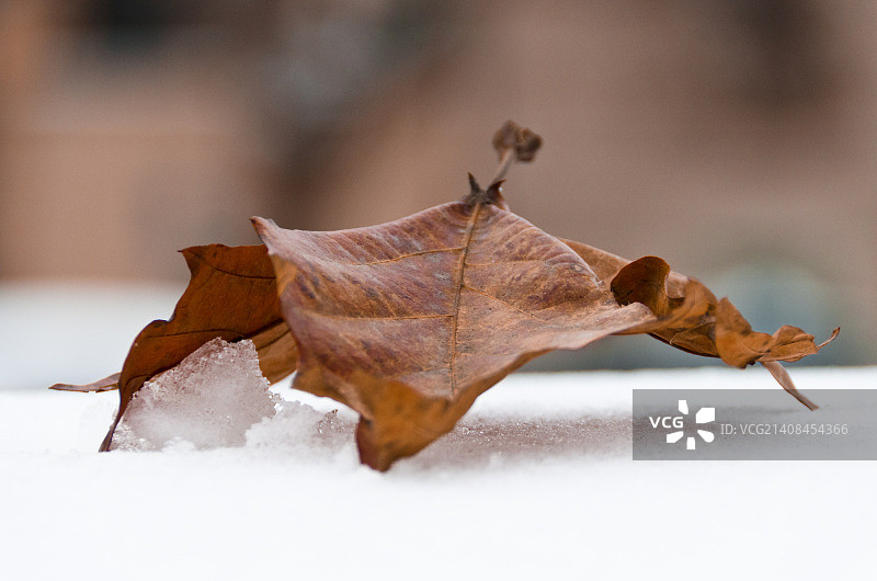 摄影师：弗朗切斯科·奥切洛图片素材