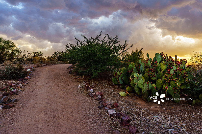 沙尘暴中的日落图片素材