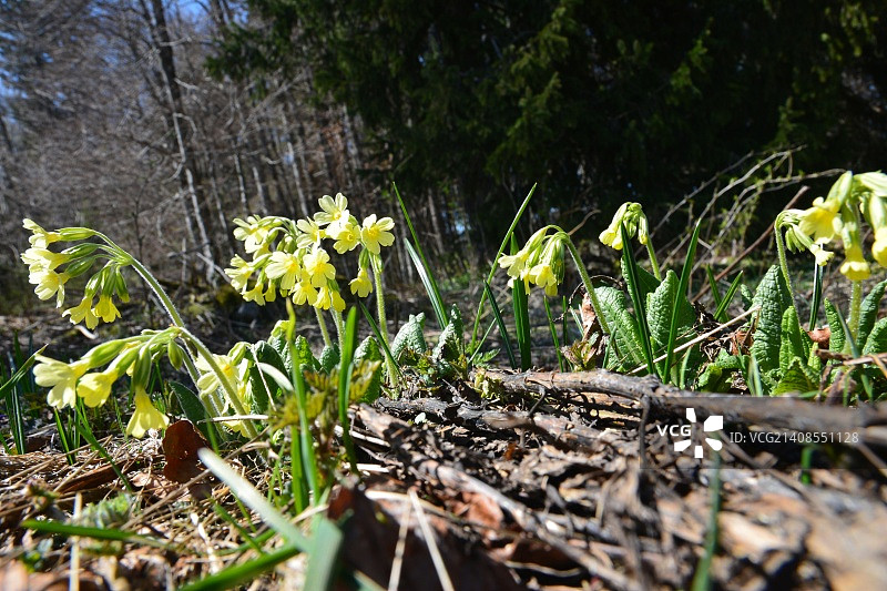 法国莱鲁斯图片素材
