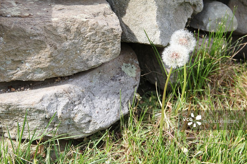 美国哈维奇中心图片素材