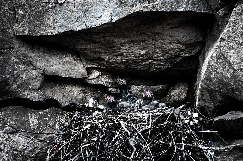 冰岛雷克雅未克图片素材