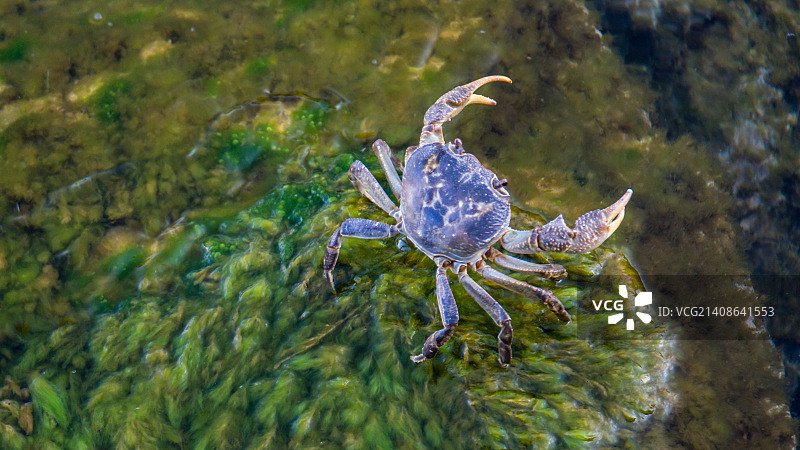 土耳其厄伊尔迪尔 - 中东地区图片素材