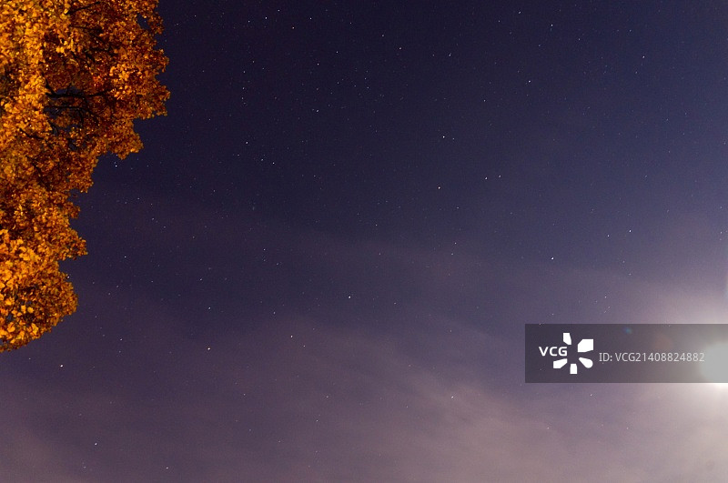 Marc Berthold摄影作品图片素材