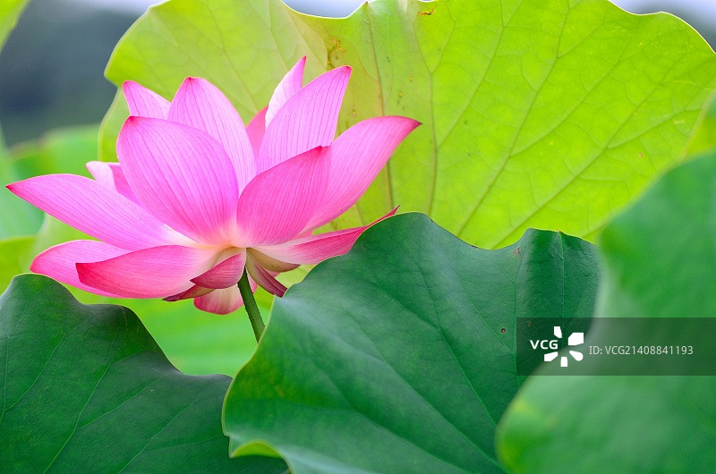 中国台湾板桥区图片素材