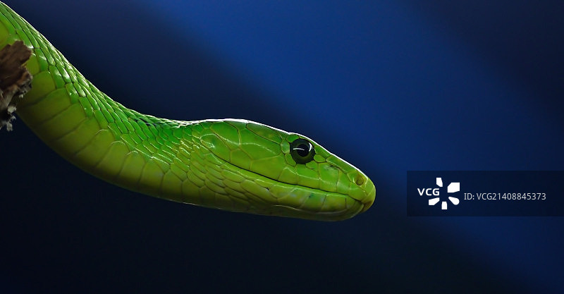 有毒物质图片素材