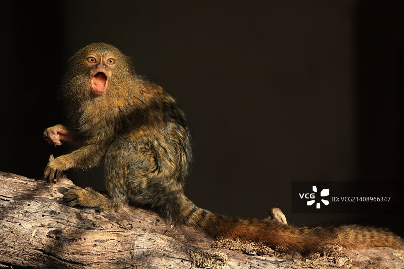 凯布里亚克，法国图片素材