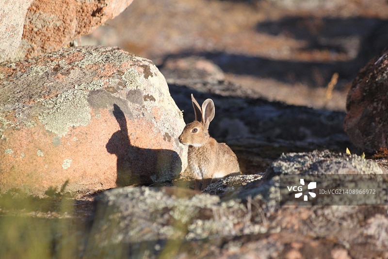 我和我的影子图片素材