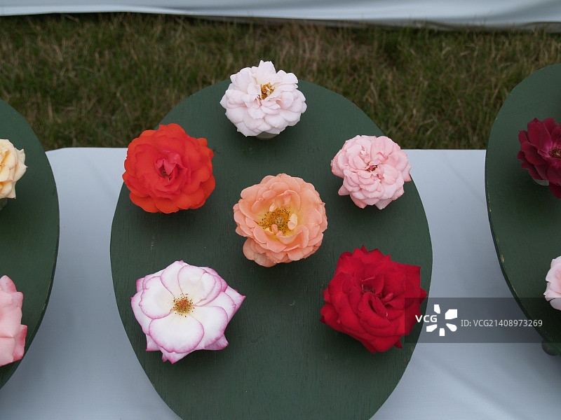 英国惠顿阿斯顿图片素材