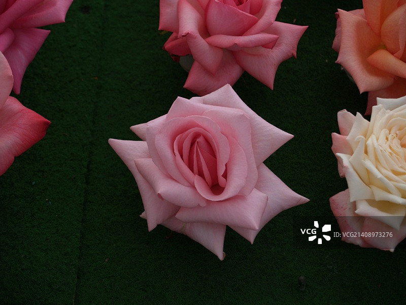 英国惠顿阿斯顿图片素材