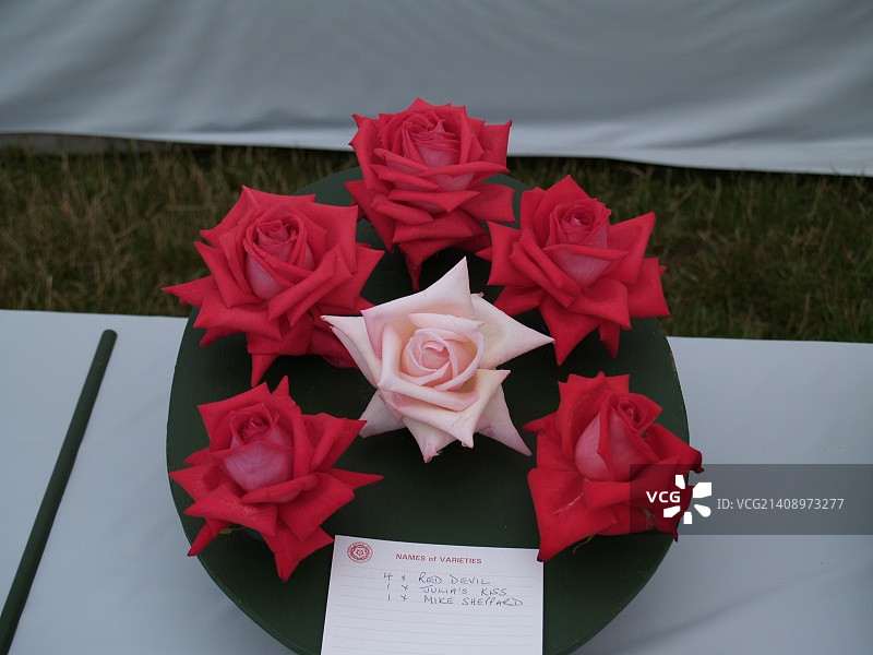 英国惠顿阿斯顿图片素材