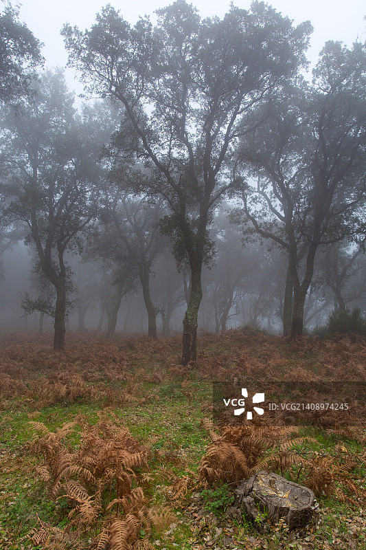 西班牙阿尔赫西拉斯图片素材
