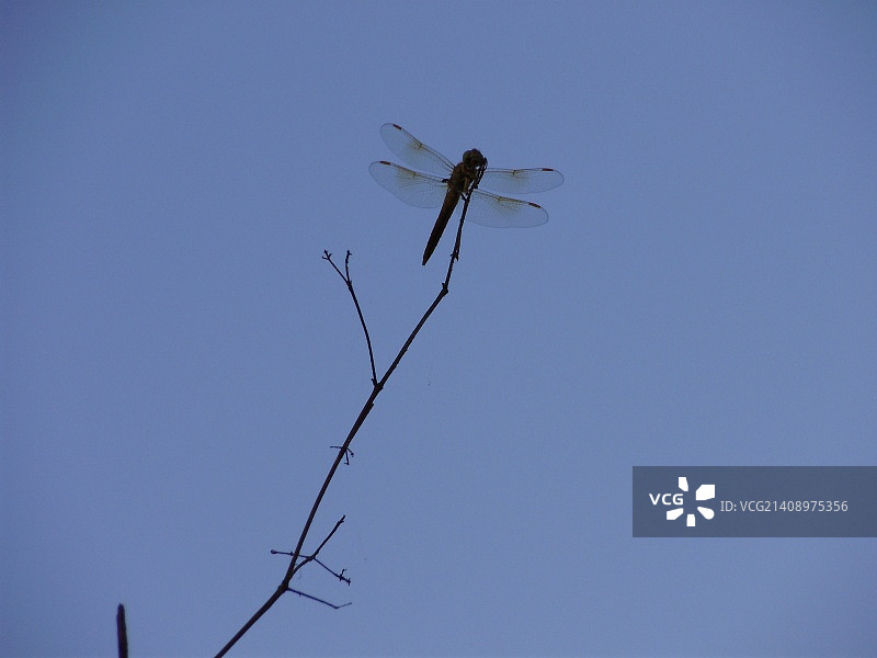 我的天空！图片素材