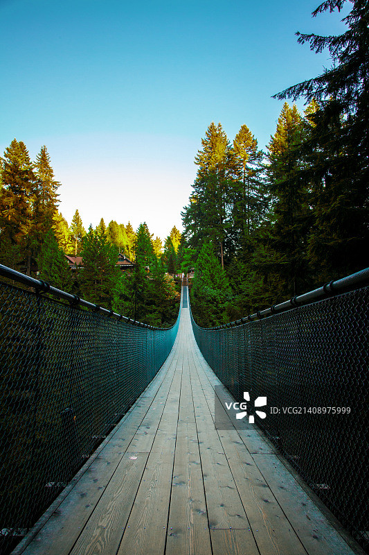 卡皮拉诺吊桥图片素材