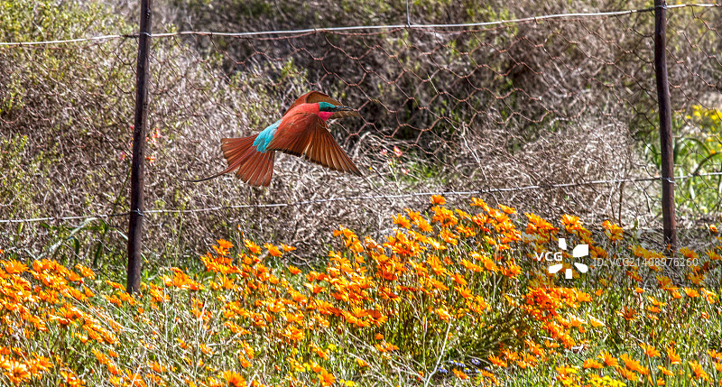 飞行掠过图片素材