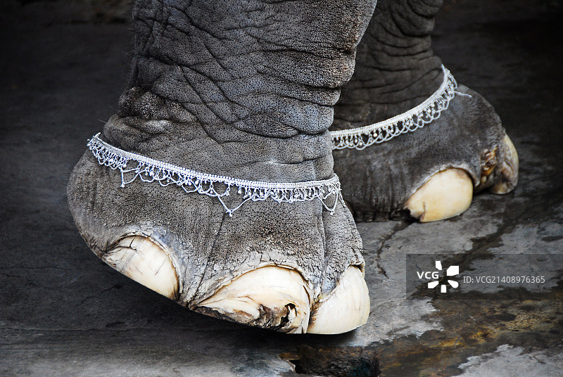 摄影师：Ben Taylor图片素材