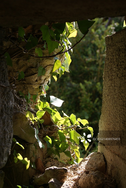 法国萨兰莱班图片素材