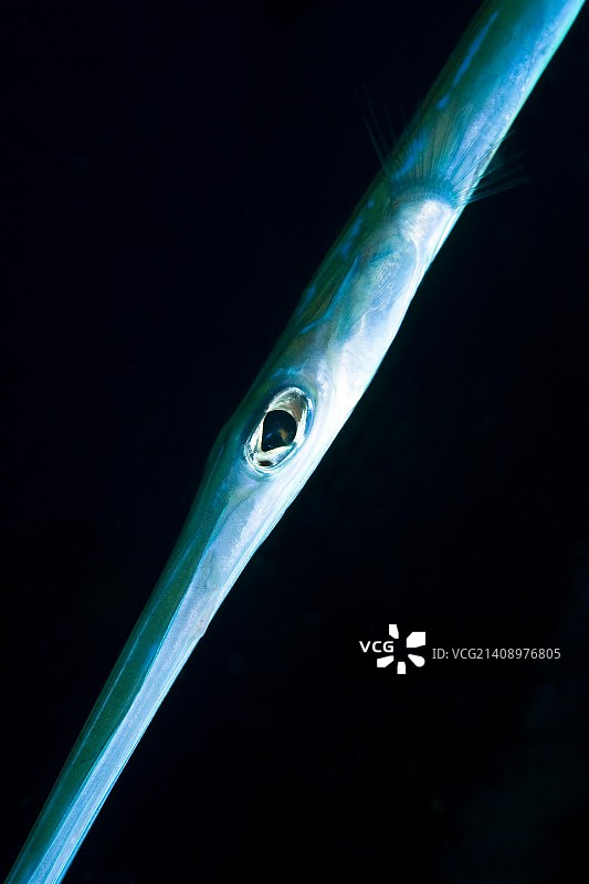 对角线图片素材