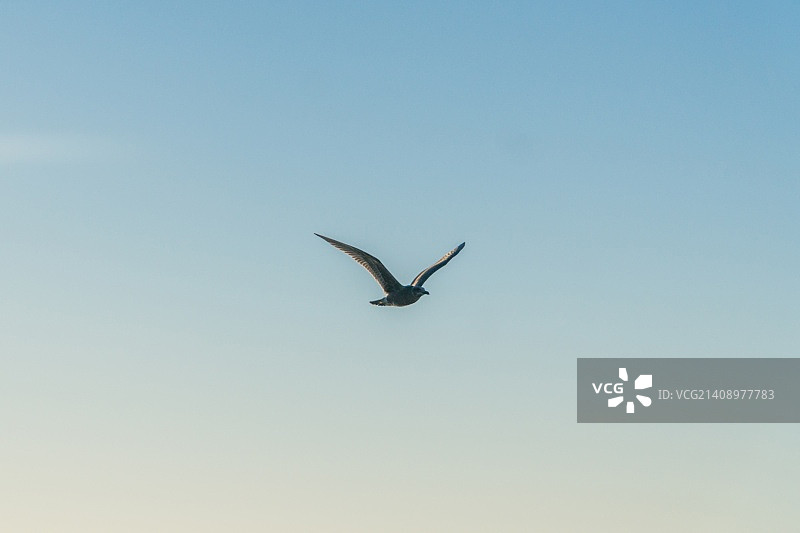 艾奥纳海滩-7图片素材