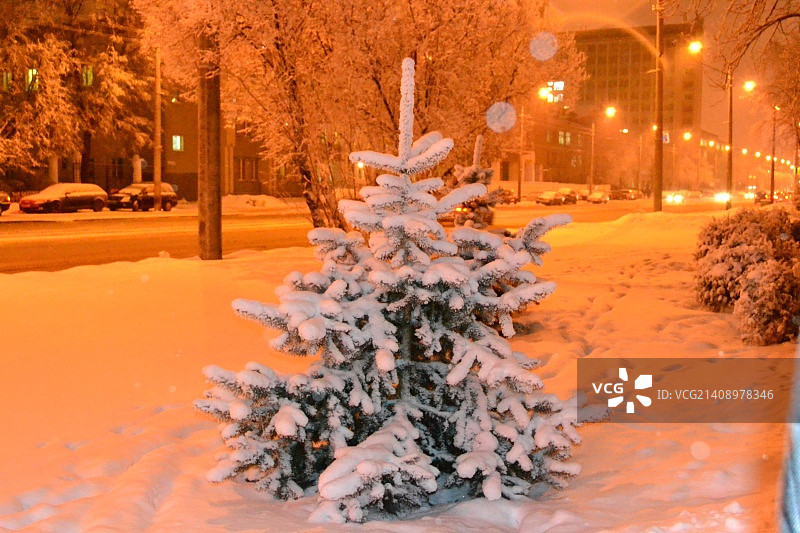 与外国大使图片素材