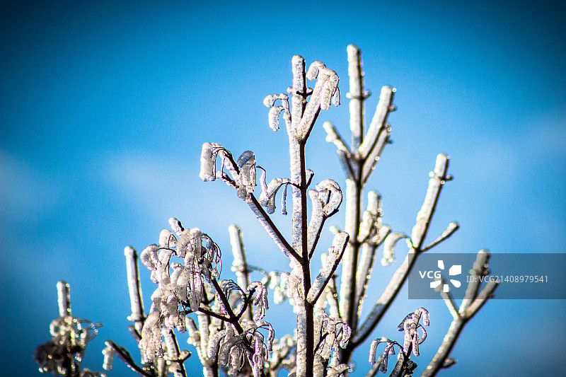 2013年12月安大略省冰暴图片素材