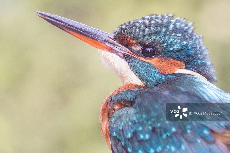 西班牙特雷韦莱斯图片素材