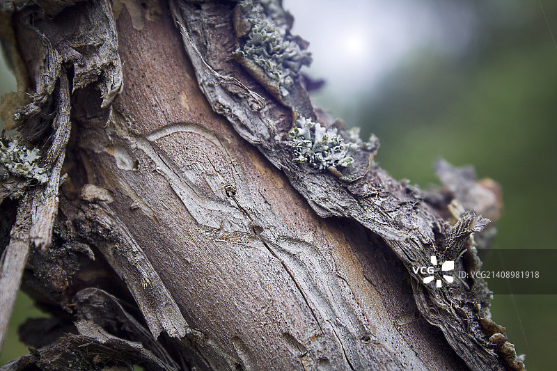 已标记图片素材