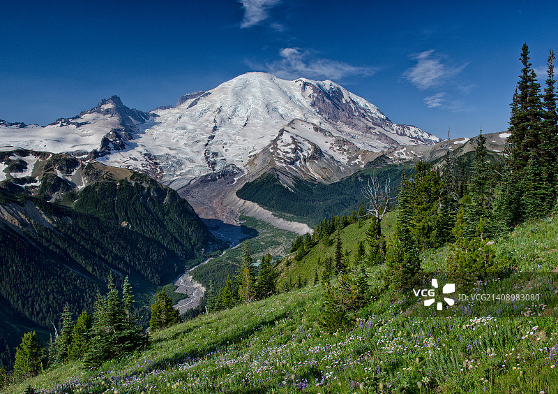 雷尼尔山图片素材