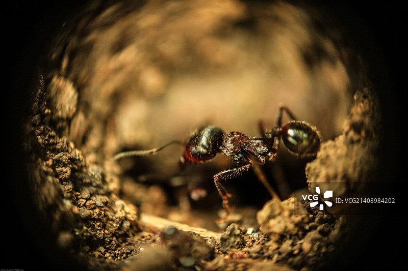 乌克兰顿涅茨克图片素材