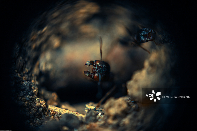 乌克兰顿涅茨克图片素材