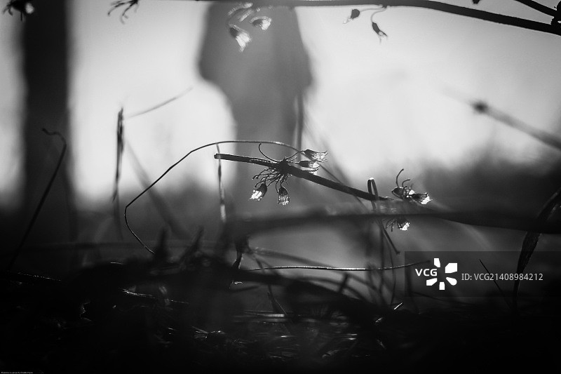 乌克兰顿涅茨克图片素材