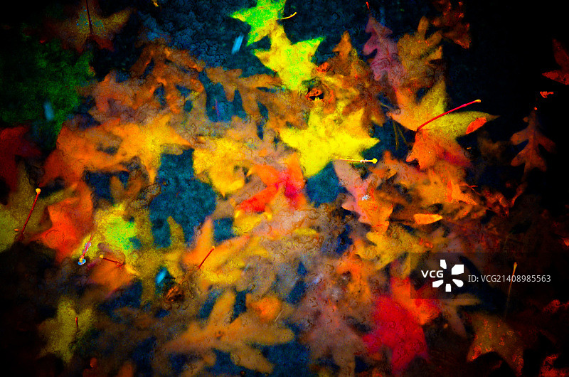 冷冻拼贴图片素材