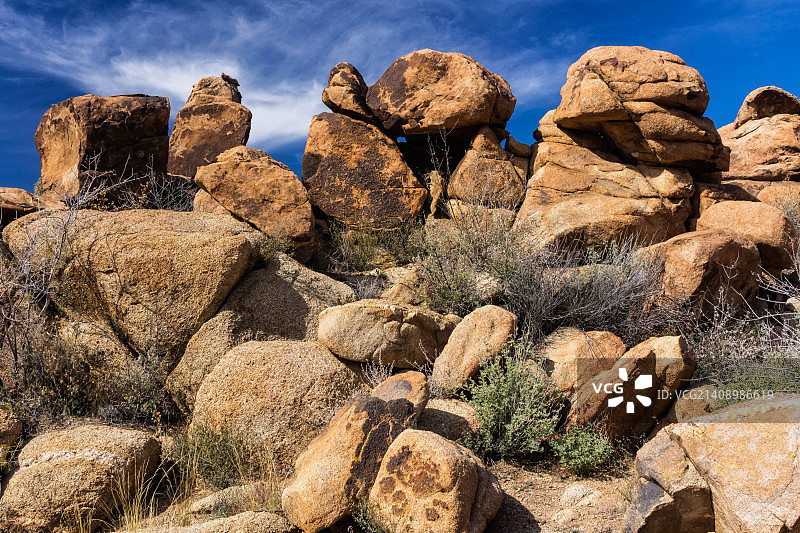 约书亚森林，亚利桑那州图片素材